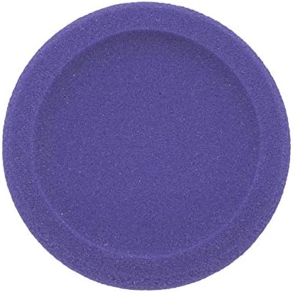 Champion Sports-Chsfdset Rounded Edge Discs, vermelho/amarelo/azul real/verde/laranja/roxo