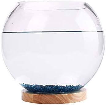 Twdyc Creative Living Room Small Desktop Fish Tank Glass Round Tank Night Night Light Mini Aquarium Decoration