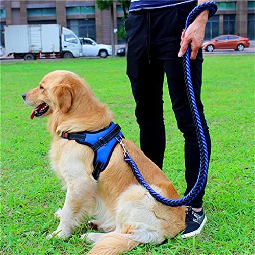 Walnuta Solid Dog Colet Walking Pet Arnness e coleira definida