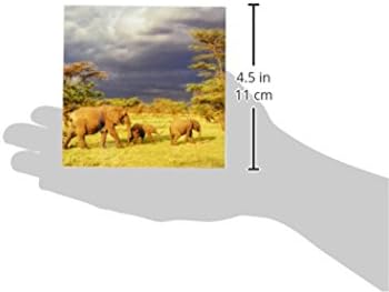 3drose cst_71689_4 Herd de elefante africano, Parque Nacional Serengeti, Tanzânia-AF45AJE0223-ADAM Jones-Cerâmica Montanha-russa,