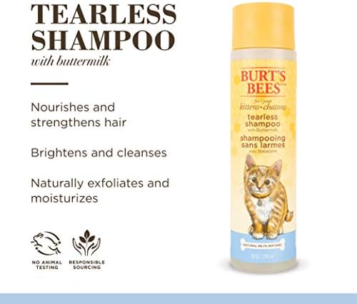 Abelhas de Burt para Kittens Natural Shampoo sem lágrimas com leitelho | Shampoo de gato para todos os gatos e gatinhos |