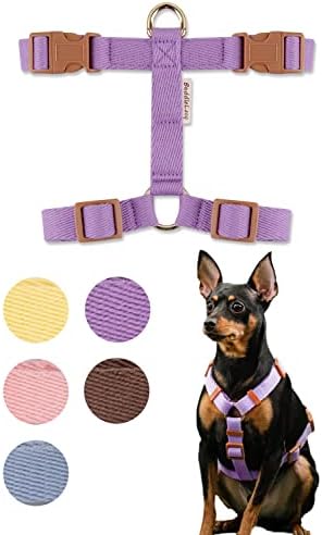 Boddlelang H-Type Easy Walk Dog Harness para cães médios sem puxar | Arnês de prova de escape para cães | Cão de chicote