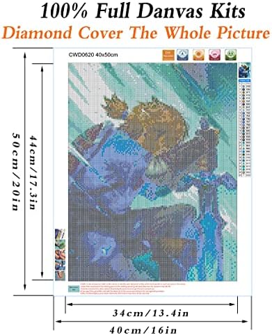 ShinyDiamondart 5D Pintura de diamante Zelda 16x20 polegadas Arte de diamante para adultos e crianças Ferras completas Drill