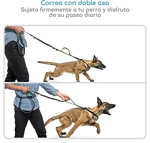 Cão de cão, cinto com trela sem mão da coleira de cachorro com cinto ajustável, design de bungee duplo - perfeito para