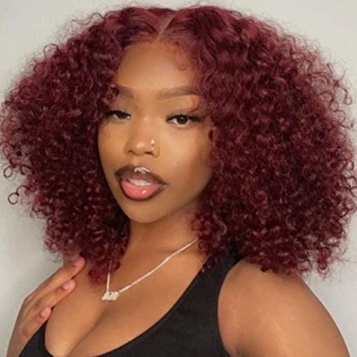 Nadula Hair Copper Red Red Short Curly Afro Wig Human Human for Black Women Winky Curly Hair Wig Afro Ginger 33 Wigs completos