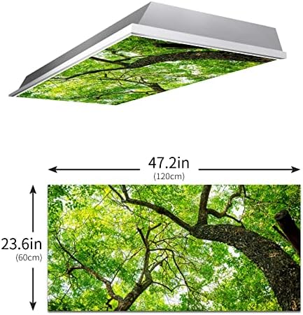 Capas de luz fluorescentes de Birosvsy para o escritório da sala de aula - elimine o brilho duro, causando dores de falha ocular e dores de cabeça. Escolar-escritório-teto de teto em árvores de decoração de lâmpadas na selva