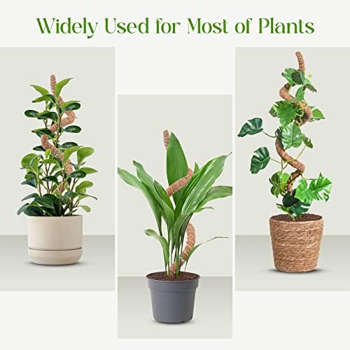 Pólo de musgo de pisol para plantas monstera, suporte de palitos de plantas dobráveis, apostas de plantas para plantas em vasos de interior, 25 '' de suporte de plantas de coco de coco de coco para esfagno, pothos e outras plantas de escalada