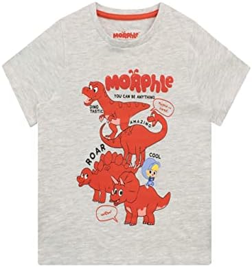 Camiseta de Morphle Boys