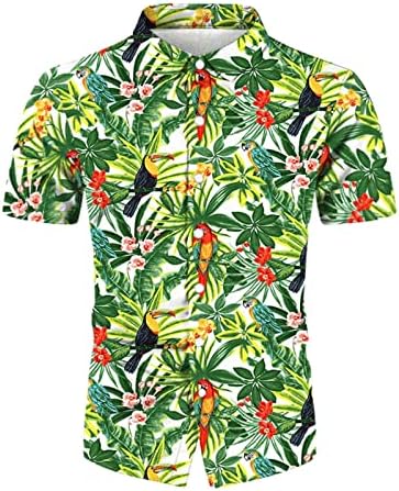 Xxbr aloha camisas para homens, camisa havaiana masculina impressão de árvore tropical de manga curta Botão para cima camisetas de praia soltas