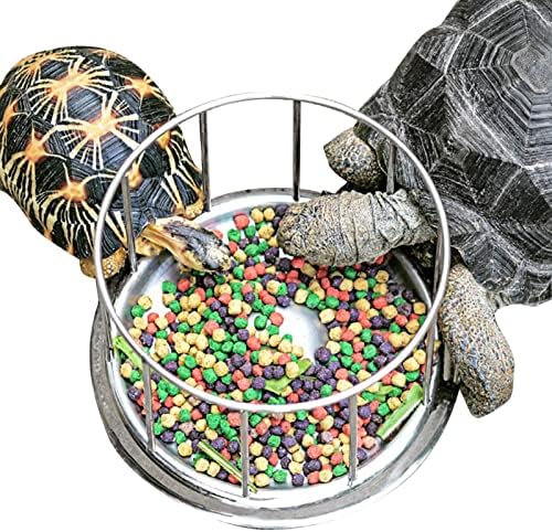 dispensador de água com tartaruga de répteis Shangjia, alimentador de tartaruga de aço inoxidável, tigela de alimentador de prato
