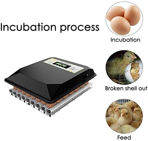 Incubadora automática de torno jf-xuan, 36 ovos controle de temperatura da máquina de incubatórios Turnação/umidificação automática