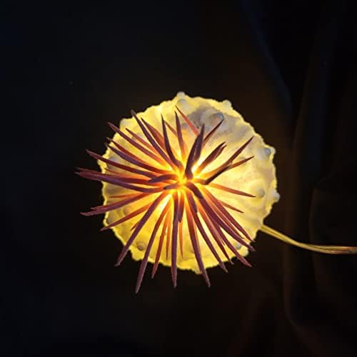 Lâmpada decorativa de Phoenix Seashell simulada casca de ouriço do mar e plantas suculentas de plantas de estudo