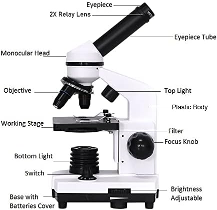 ZHUHW Microscópio Biológico Profissional Composto LED Microscópio Microscópio de Exploração Biológica Adaptador de Smartphone 40x-1600x